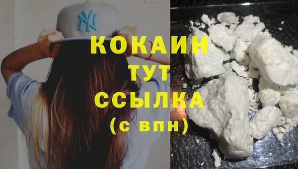 PSILOCYBIN Костерёво
